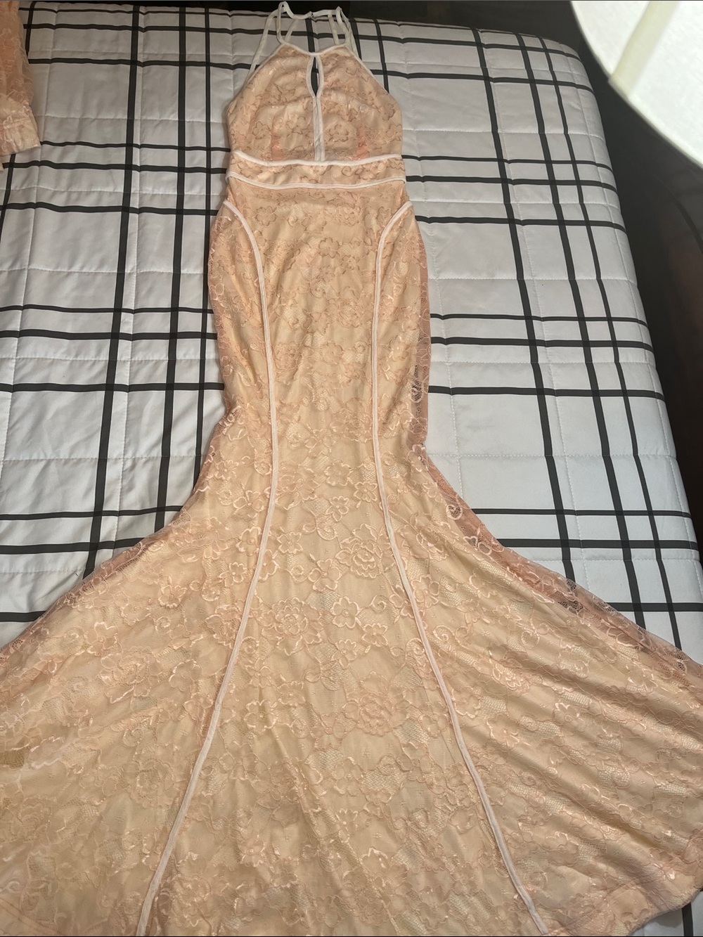 Windsor Nude Lace Mermaid Maxi Dress